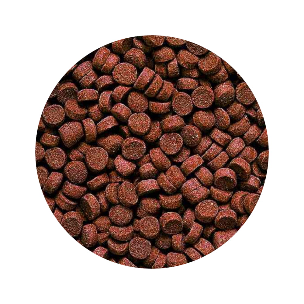 sunking wafers.jpg